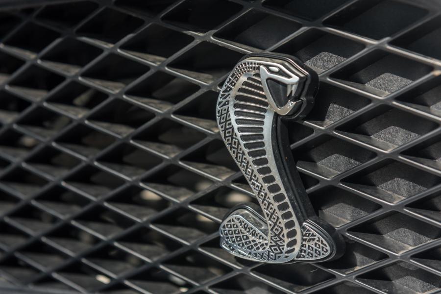 Логотип Shelby GT500 2007 года  (фото 47 из 128)